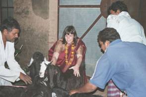 wLinda and goats 03.jpg